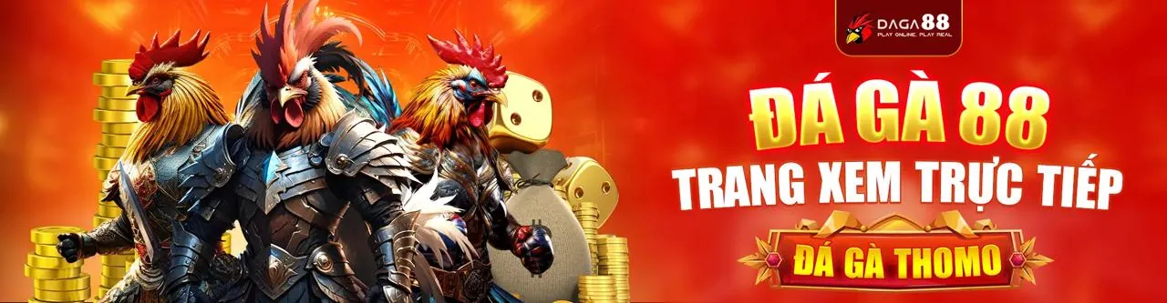 Đá gà trực tuyến kịch tính trên KU777 App